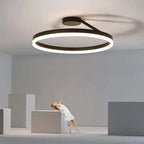 Modern LED ceiling light for living room 0