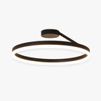 Modern LED ceiling light for living room 1