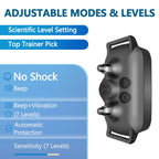 Collier Anti-Aboiement CalmPup pour Tous Chiens Rechargeable et Respectueux